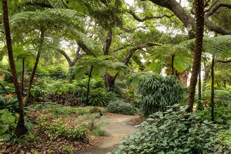 Fern Garden — Ganna Walska Lotusland