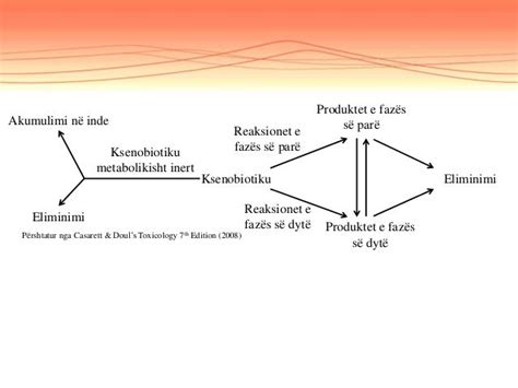 Metabolizmi i barnave dhe helmeve (Biotransformimi)