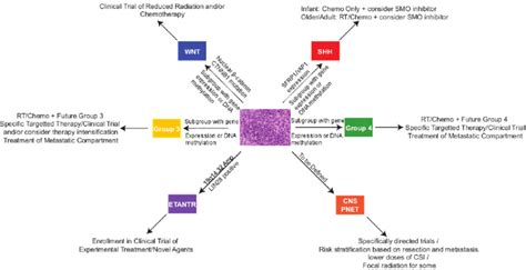 The future treatment of medulloblastoma | Download Scientific Diagram