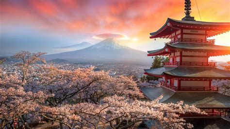 Sakura Japan Photo Tour | Beautiful views, Japan photo, Photography tours