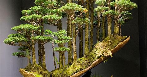 This Bonsai Forest by Masahiko Kimura is Incredible » TwistedSifter