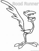 Wile Coyote And Road Runner Coloring Pages  Home In 2023 sketch template