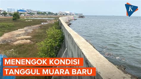 Tanggul Retak, Air Menggenang di Depan Rumah Warga Muara Baru - YouTube