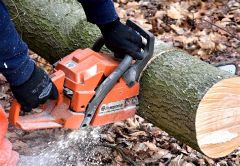 Cutting Firewood - Do It Yourself Guide