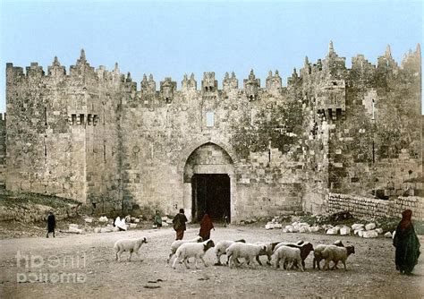 Sheep`s gate jerusalem photos