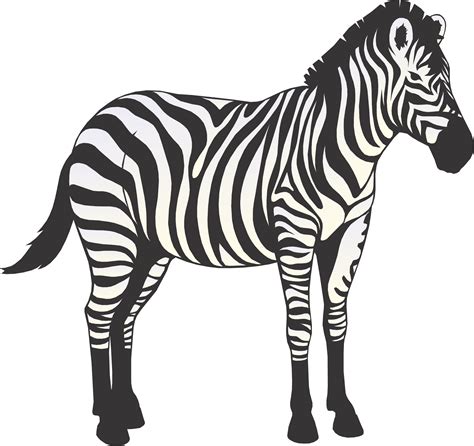 Cartoon Zebra drawing free image download