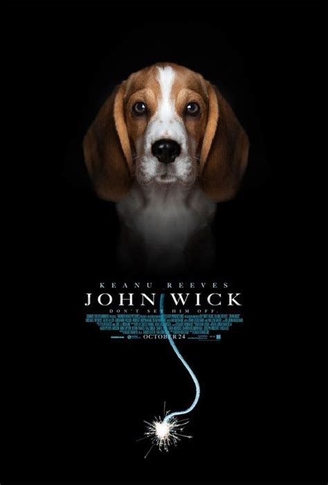 Beagle Puppy John Wick | Beagle Puppy