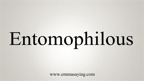 How To Say Entomophilous - YouTube