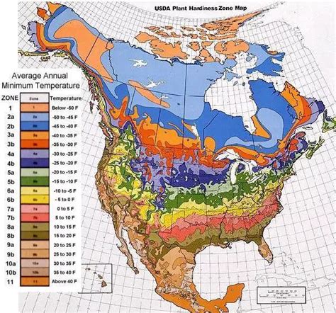 Plant Hardiness Zones for the United States and Canada - Internet ...