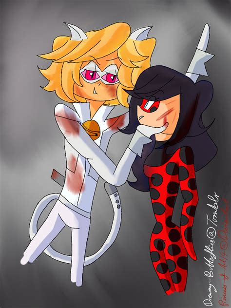 Chat Blanc VS Ladybug by Princess-of-Art14 on DeviantArt