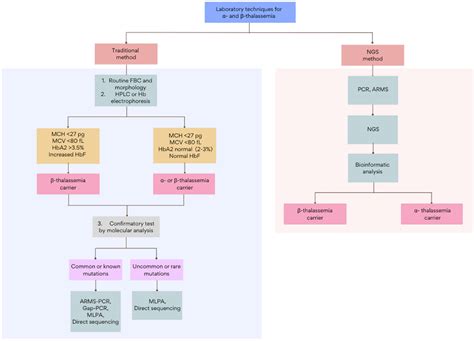 Flowchart For Thalassemia Screening Ida Iron Deficiency Anemia | My XXX Hot Girl