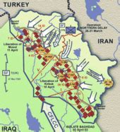 2003 invasion of Iraq - Wikipedia
