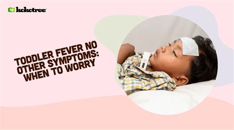 Toddler Fever No Other Symptoms: When to Worry - Kokotree