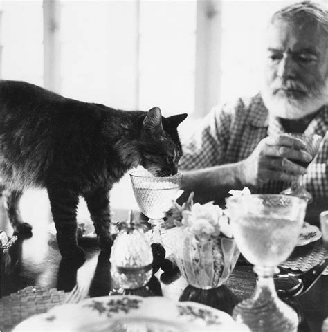 Vintage Hemingway & Cat Canvas Print - Etsy