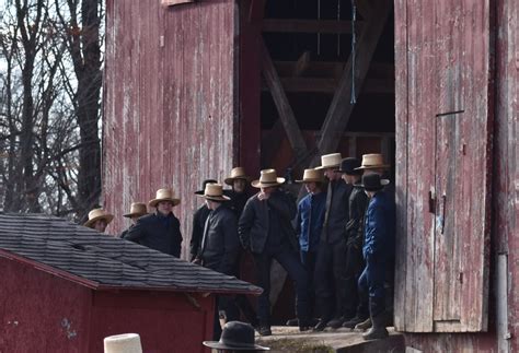 At A Swartzentruber Amish Auction (10 Photos) - Amish America