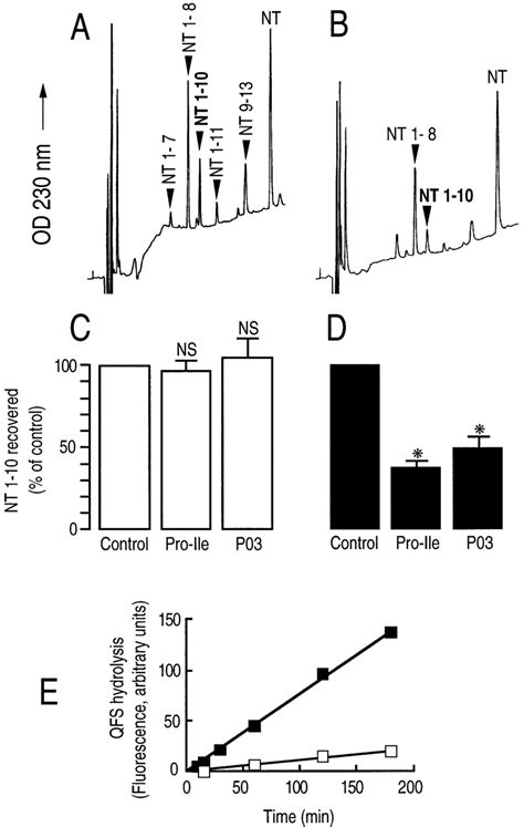 Endopeptidase 3.4.24.16 activity on plated neurons. Neurotensin (10 ...