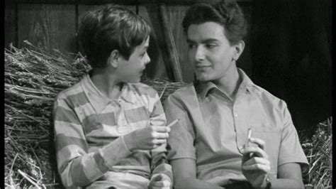 YOUNG STARS OF CINEMA: DIDIER HAUDEPIN