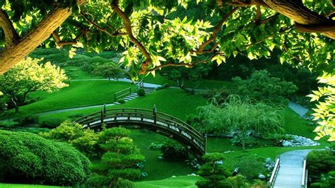 Beautiful Green Scenery Garden HD Beautiful Wallpapers | HD Wallpapers ...