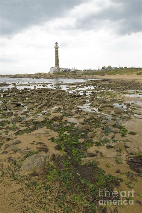 Jose Ignacio Lighthouse Photograph by William H. Mullins - Fine Art America