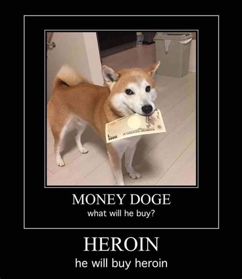 Money Doge, What Will He Buy? | X in the Y, What Will He Do? | Know Your Meme