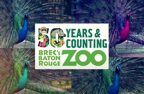 Baton Rouge Zoo Undergoes State-of-the-Art Redevelopment