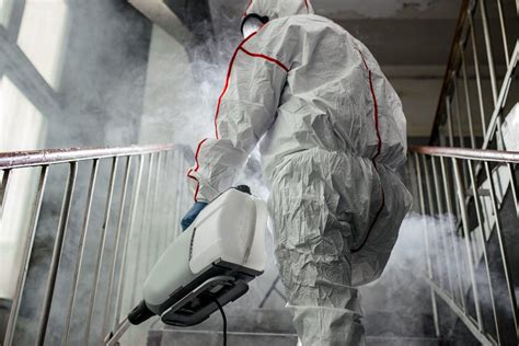 Mold Remediation Process: How Does it Work?