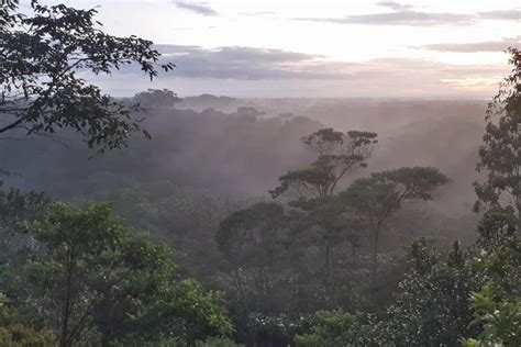 Ayahuasca Retreat Peru - Healing adventure in Peru