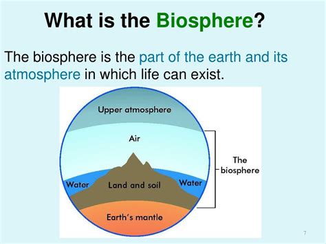 Biosphere Facts