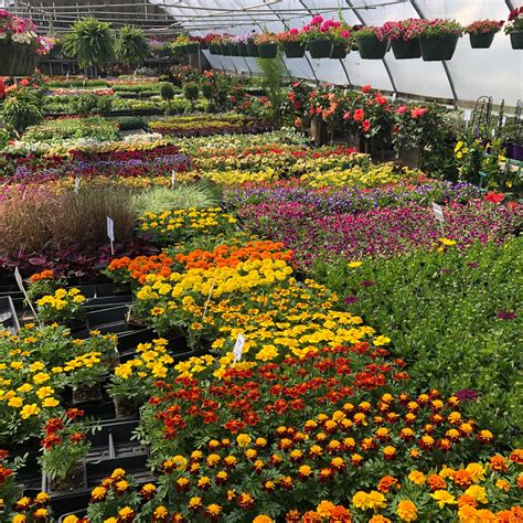 Gertens Farm Market – Good Plants – Good Prices – Good People – Come Browse!