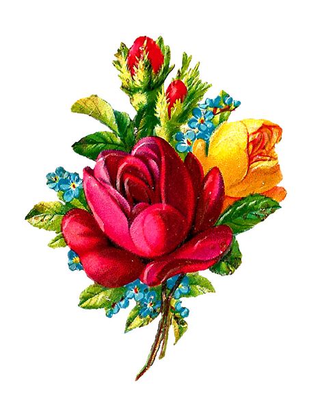 Antique Images: Digital Red Rose Clip Art Flower Download Botanical Artwork