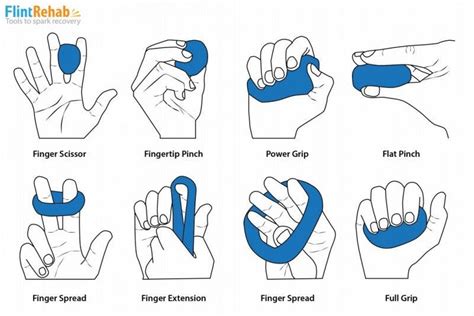 Effective Hand Therapy Putty Exercises + Free PDF | Flint Rehab