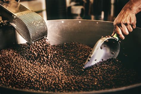 Where Do Coffee Shops Get Their Beans? (A Buyer’s Guide) | Seattle Coffee Scene