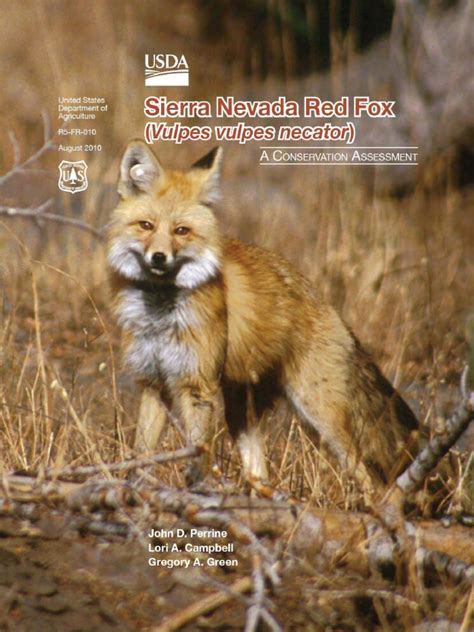 Sierra Nevada Red Fox Cons Assmt 2010 USDA R5 FR 010 | PDF ...