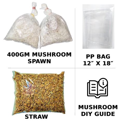 Discover the Best Mushroom Grow Kits & DIY Solutions | Buy Oyster Mushroom Cultivation Kit Online