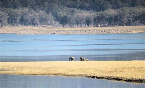 Rivers In Corbett National Park