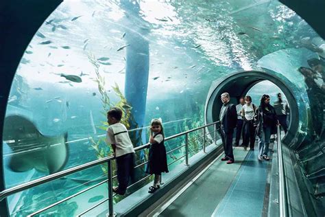 Melbourne Aquarium - Hidden City Secrets