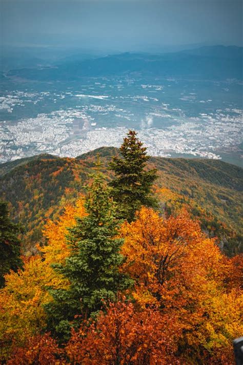 Aerial Photography of Autumn Trees · Free Stock Photo