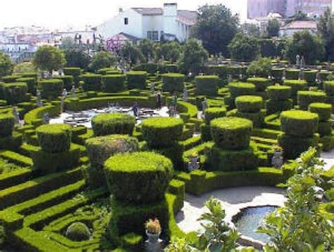 Castelo Branco | Dutch gardens, Parterre garden, Manor garden