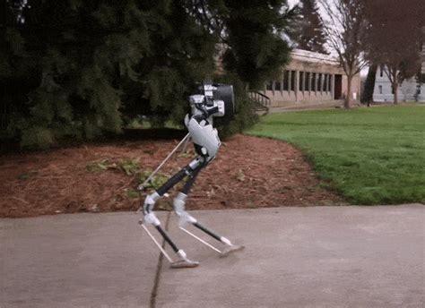 Agility Robotics Introduces Cassie, a Dynamic and Talented Robot ...