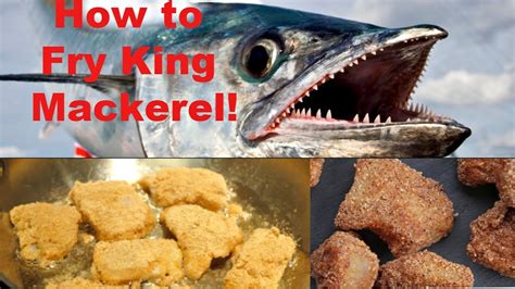 King Mackerel Recipes | Besto Blog