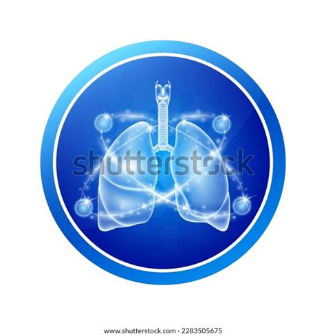 Lung Health Care Labels Circle Shapes Stock Vector (Royalty Free) 2283505675 | Shutterstock