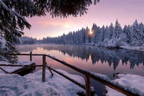 Winter Snow Trees Nature Outdoors Wallpaper,HD Nature Wallpapers,4k Wallpapers,Images ...