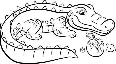 Baby Crocodile Coloring Pages at GetDrawings | Free download