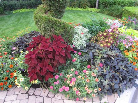 Russ' landscaping and gardening tips: Let's talk summer annuals!