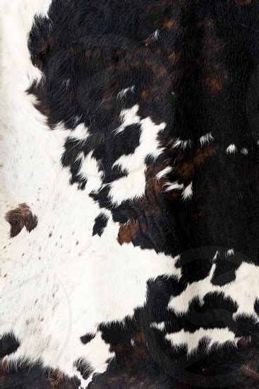 Cowhide Background