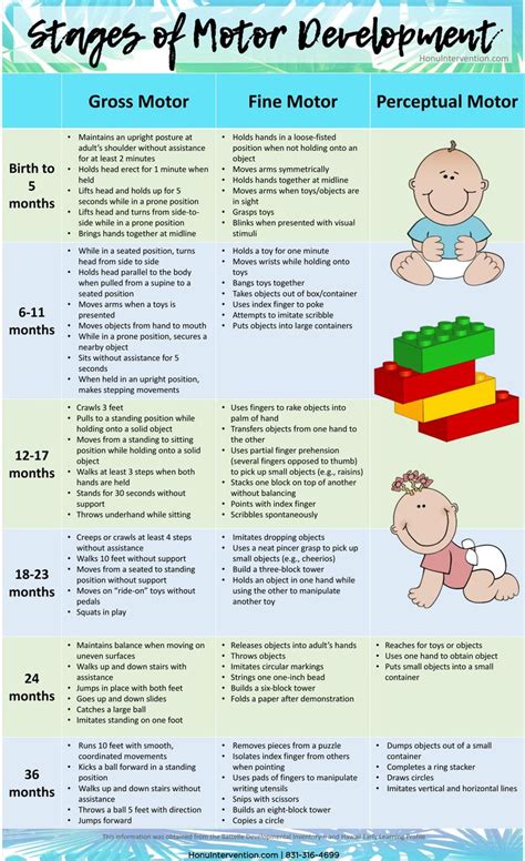Stages of Motor Development | Child development stages, Cognitive development activities, Early ...