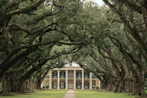 Why Oak Alley Plantation Is A Must-See For History Lovers | AftonVilla.com