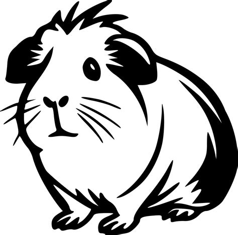 Guinea pig clipart vector illustration 24534575 Vector Art at Vecteezy