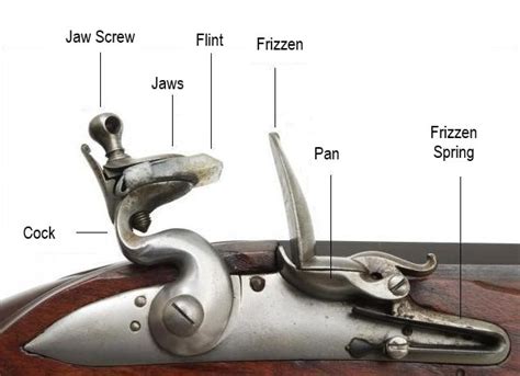 Blunderbuss Gun | Design & Usage in the American Revolution