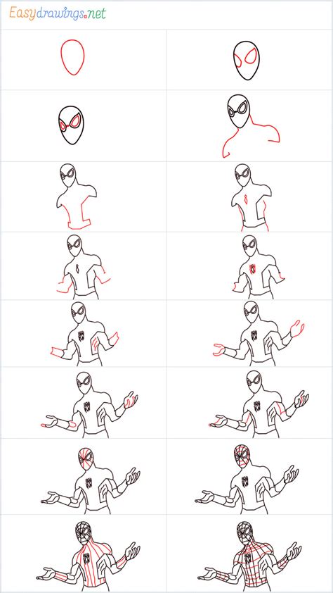 How to Draw Spiderman step by step - [16 Easy Phase] + [Video]